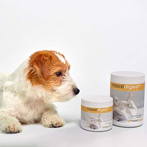 maxxidog – maxxidigest+ Probióticos, prebióticos y enzimas digestivas para Perros - Ayuda Avanzada a la digestión Canina & al Sistema inmunológico - Sin Polvo OGM - Dos tamaños 200 g & 375 g