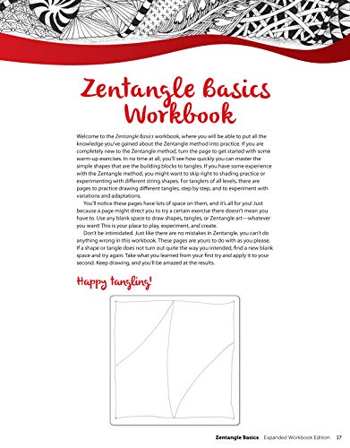 Mcneill, S: Zentangle Basics, Expanded Workbook Edition