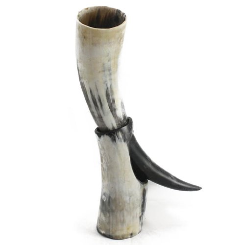 Medium Drinking Horn with Horn Stand - Polished - Perfect for Reenactment by HornCraft