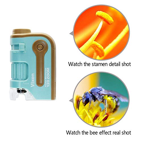 Microscopio de Bolsillo con luz LED 60x-120x con lupa incorporada con luz UV y LED de Ciencia, Fibras, Plantas, células, Piel, Moneda, Vida Silvestre y más