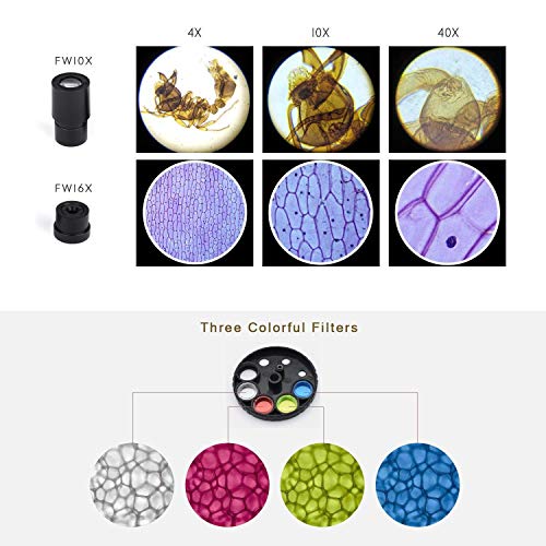 Microscopio para niños, ampliación 40X - 640X con 50 Kits de Ciencia El microscopio para Principiantes Incluye 25 Controles deslizantes para Estudiantes de 5 años en adelante