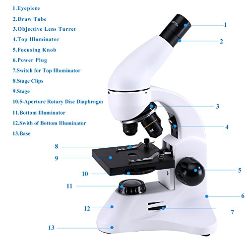 Microscopio Para Niños,Biológico Professional Para USCAMEL, con Luces LED x400 y Porciones Bióticas, Para que Los Niños Aprendan a Experimentar