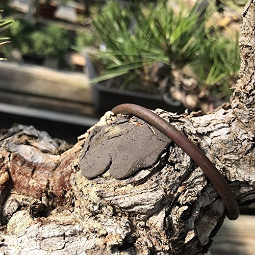 Mistral Bonsái - Bálsamo cicatrizante 100gr.