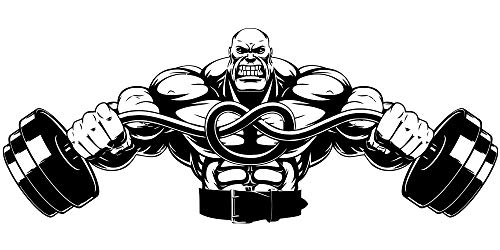 mlpnko Pegatinas de Pared calcomanía de Pared de Vinilo Mural extraíble Gimnasio Mural decoración Sala de entrenamiento57X22cm