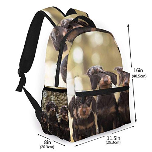 Mochila Informal Perros Dachshund de Pelo Duro Hombres y Mujeres Mochila de Lona de Estilo Informal Mochila Escolar,