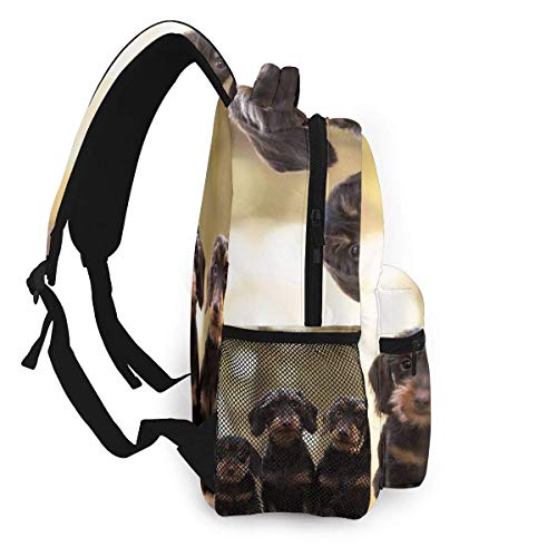 Mochila Informal Perros Dachshund de Pelo Duro Hombres y Mujeres Mochila de Lona de Estilo Informal Mochila Escolar,