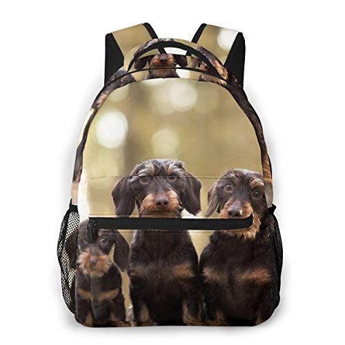 Mochila Informal Perros Dachshund de Pelo Duro Hombres y Mujeres Mochila de Lona de Estilo Informal Mochila Escolar,