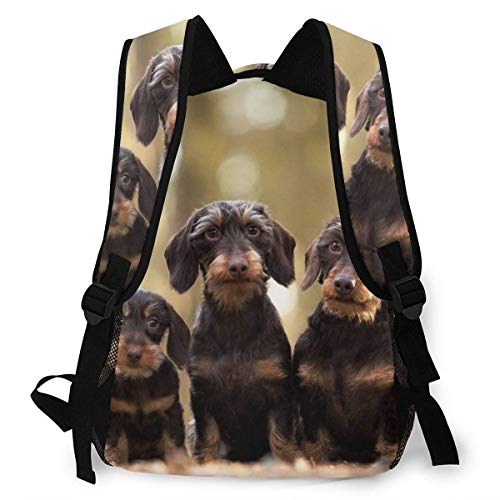 Mochila Informal Perros Dachshund de Pelo Duro Hombres y Mujeres Mochila de Lona de Estilo Informal Mochila Escolar,