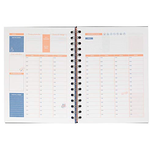 Mr. Wonderful Planificador de productividad-Si lo Digo, lo consigo, Multicolor, 0
