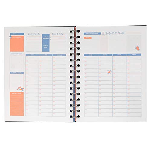 Mr. Wonderful Planificador de productividad-Si lo Digo, lo consigo, Multicolor, 0