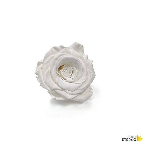 Mundo Eterno Rosa Eterna Preservada 35cm Blanca