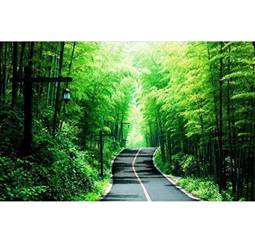 Mural Papel Tapiz Fotográfico 3D Sala De Estar Mural Bamboo Sea Boulevard Imagen Sofá Tv Fondo-250cmx175cm