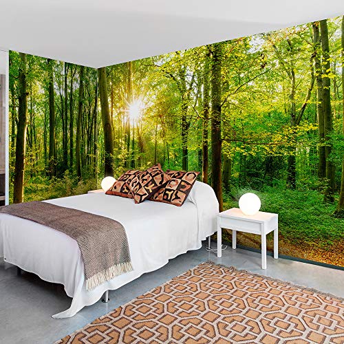 murando Fotomurales autoadhesivo Bosque 539x250 cm Papel de esquina Papel Pintado Decoración de Pared Murales Pegatina decorativos adhesivos 3d moderna de Diseno Paisaje Panorama b-B-0383-a-a