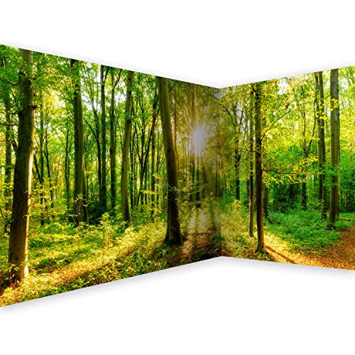 murando Fotomurales autoadhesivo Bosque 539x250 cm Papel de esquina Papel Pintado Decoración de Pared Murales Pegatina decorativos adhesivos 3d moderna de Diseno Paisaje Panorama b-B-0383-a-a