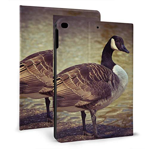 N\A Carcasa iPad para Mujer Goose Animal Bird Poultry Greylag Goose Gander iPad Protector de Caja para iPad Mini 4 / Mini 5/2018 6th / 2017 5th / Air/Air 2 con Auto Wake/Sleep Magnetic Vintage iPad C