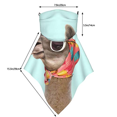 naizi Bandanas bufanda orejeras pasamontañas cara hombres mujeres protección polainas para el cuello cubierta orejeras bufanda para sol polvo viento motocicleta protección