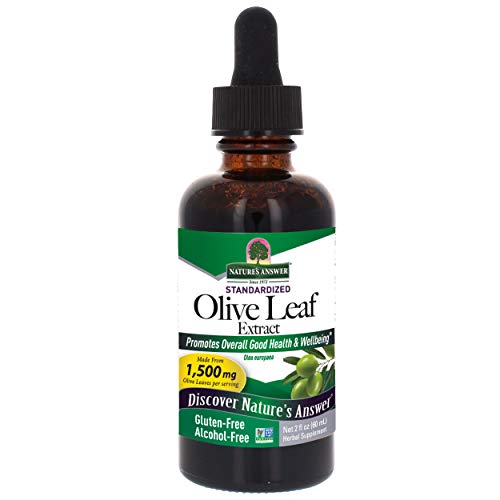 NATURE'S ANSWER - OleoPein Olive Leaf Alcohol-Free Extract - 2 fl. oz. (60 ml)