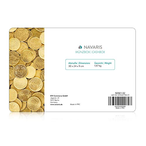 Navaris Caja fuerte para dinero - Organizador de efectivo con cerradura y compartimento interior - Para billetes monedas documentos con dos llaves