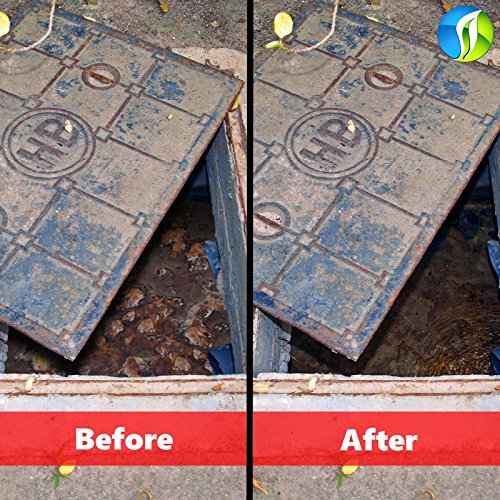 NBS SPRANG 12 meses de suministro - tratamiento de tanque séptico