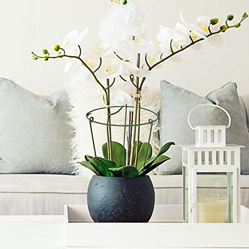 N/D Yisika 5 Pack Anillo de Soporte de Planta de jardín Garden Trellis Flower Soporte de Acero Inoxidable Escalada Vegtables Flowers Fruit Grow Cage