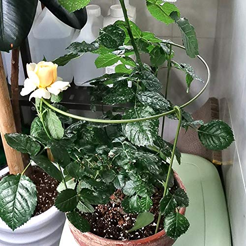 N/D Yisika 5 Pack Anillo de Soporte de Planta de jardín Garden Trellis Flower Soporte de Acero Inoxidable Escalada Vegtables Flowers Fruit Grow Cage