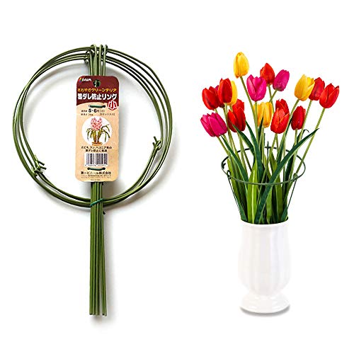 N/D Yisika 5 Pack Anillo de Soporte de Planta de jardín Garden Trellis Flower Soporte de Acero Inoxidable Escalada Vegtables Flowers Fruit Grow Cage