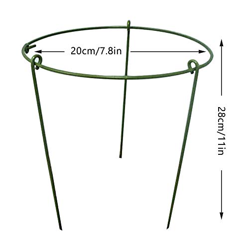 N/D Yisika 5 Pack Anillo de Soporte de Planta de jardín Garden Trellis Flower Soporte de Acero Inoxidable Escalada Vegtables Flowers Fruit Grow Cage