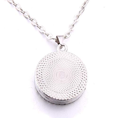 Niaofeces Collar Difusor Collar De Perfume Halloween Acero Inoxidable Cristal Circón Difusor De Aroma Colgante Perfume Aceite Esencial Aromaterapia Medallón Collar Joyería