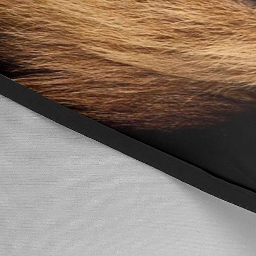 Nicokee Barber - Delantal para peluquería y peluquería con cabeza de león, para hombres y mujeres