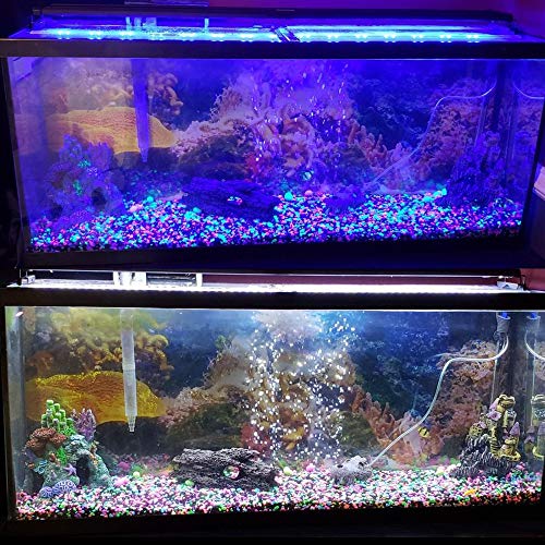 NICREW ClassicLED Luz LED Acuario, Lámpara de Acuario, Iluminación LED para Acuarios Plantados Lámpara LED para Peceras 120-150 cm, 32W, 7000K