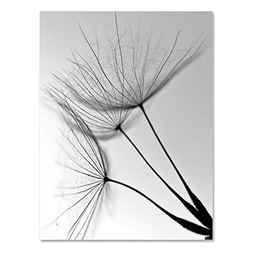NOBRAND Cuadro en Lienzo Naturaleza Diente de león Flor Moderno Blanco y Negro Impresión de Arte Imagen Decoración para el hogar Sala de Estar Cartel de Pared Abstracto Workart 3x40x60cm sin Marco