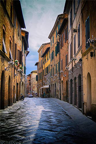 Nonebranded Puzzle Jigsaw Jigsaw Puzzles 500 Piezas Puzzle Game Calle Limpia Rompecabezas para Adultos Rompecabezas Juguetes Niños Niños Juguetes Educativos