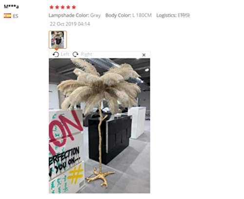 Nordic Ostrich Feather Floor Lamp Stand Light Copper Modern Interior Lighting Decor Home Floor Lights Luminaria Ostrich Feather,White,M 120CM