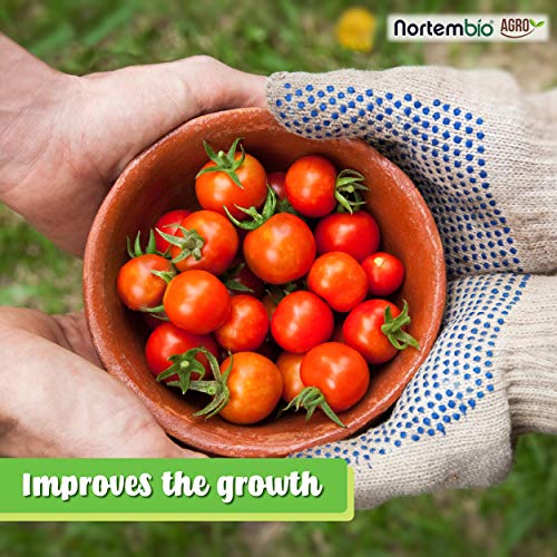 Nortembio Agro Sulfato de Magnesio Natural 5 Kg. Abono de Uso Universal. Favorece el Crecimiento de Cultivos, Jardines, Plantas de Interior y Exterior.