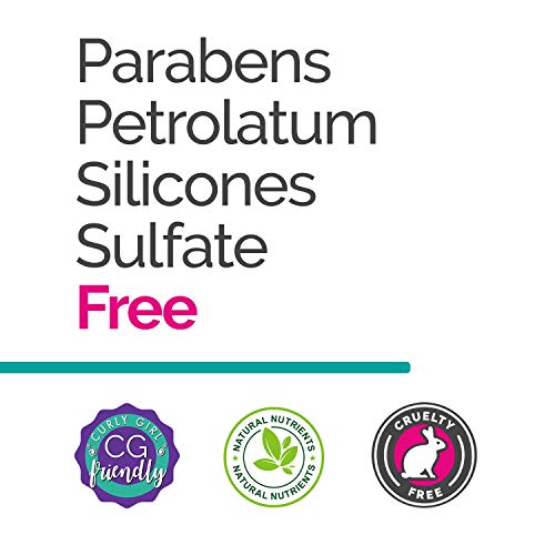 Novex Máscara Santo Black Poderoso 400Ml 400 ml