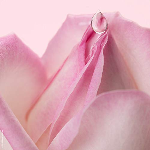 Nuxe Pétales de Rose Loción Tónica Suave - 200 ml