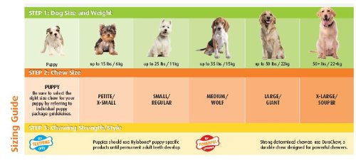 Nylabone - Pack de Huesos para Limpieza Dental Perros, Juguete y Snack en uno para Perros