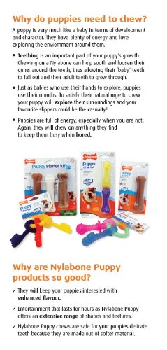 Nylabone - Pack de Huesos para Limpieza Dental Perros, Juguete y Snack en uno para Perros