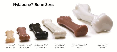 Nylabone - Pack de Huesos para Limpieza Dental Perros, Juguete y Snack en uno para Perros