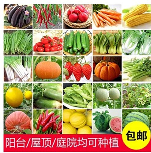Ornamentales Semillas,Balcón jardín Conjunto de Semillas de hortalizas Colza de Verduras y Frutas-Col China 250,Semillas de Plantas Verdes