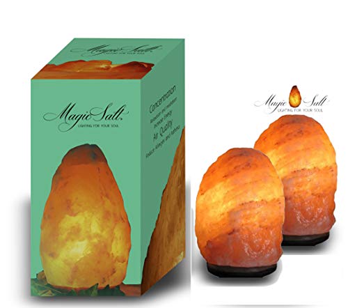 PACK 2 Lámparas Terapéuticas del Himalaya Natural de Sal con Bombilla y Soporte Feng Shui 2-3kg