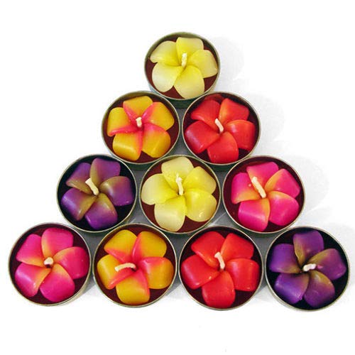 Pack de 10 velas con forma de flor frangipani