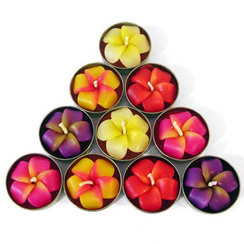 Pack de 10 velas con forma de flor frangipani