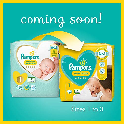 Pampers Premium Protection - Pañales talla 2 (4-8 kg) - Paquete de 1 mes (x240 pañales)