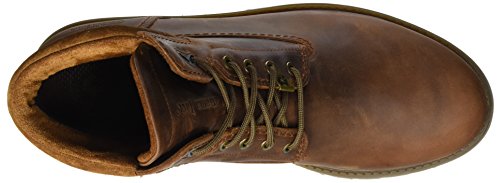 Panama Jack Amur GTX, Botas Militar para Hombre, Marrón (Cuero C8), 41 EU