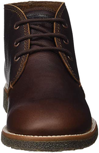 Panama Jack Gael, Zapatos de Cordones Oxford para Hombre, Marrón (Castaño C9), 43 EU