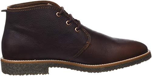 Panama Jack Gael, Zapatos de Cordones Oxford para Hombre, Marrón (Castaño C9), 43 EU