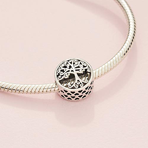 Pandora 797590 Charm en plata de ley Raíces Familiares