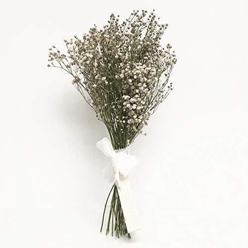 PANICULATA, la flor mas bonita del mundo. Ramo de paniculata seco natural.