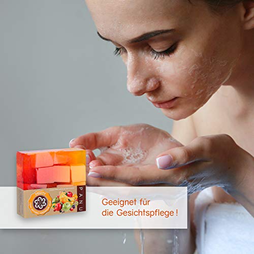 Panu Jabon Natural - Fruity Champu Solido - jabones para regalar (2x 110g)